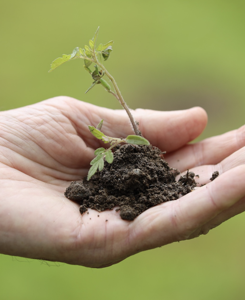 Capture d’écran, le 2026-03-30 à 12.58.51
